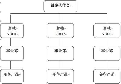 企业总部管理的战略角色与风险管理要点解析